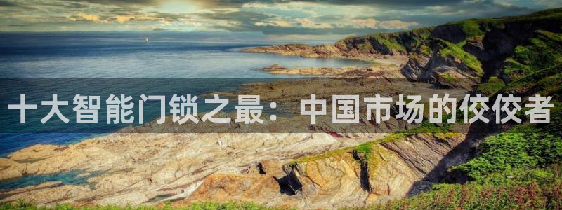 开丰娱乐登入地址在哪里：十大智能门锁之最：中国市场的佼佼者