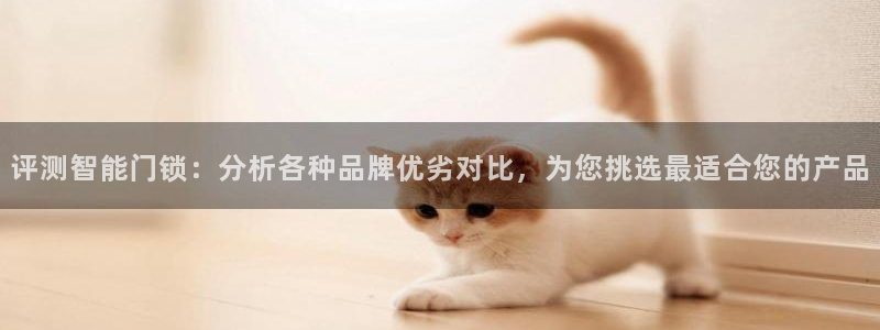 开丰娱乐网官网注册入口：评测智能门锁：分析各种品牌优劣对比，