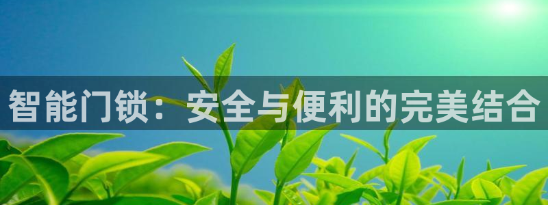 开丰娱乐登录平台：智能门锁：安全与便利的完美结合