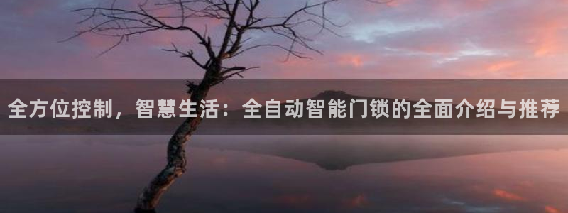 开丰娱乐官方app：全方位控制，智慧生活：全自动智能门锁的全