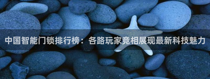 开丰娱乐千67五壹叁八：中国智能门锁排行榜：各路玩家竞相展现