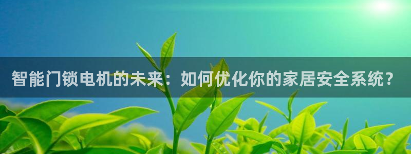 开丰娱乐下7O667：智能门锁电机的未来：如何优化你的家居安
