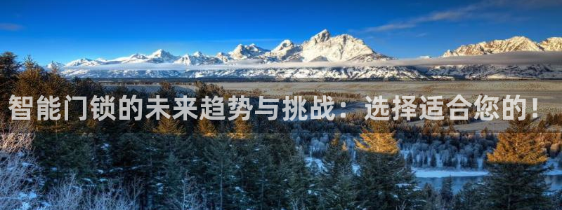 开丰娱乐巾67五壹叁八：智能门锁的未来趋势与挑战：选择适合您