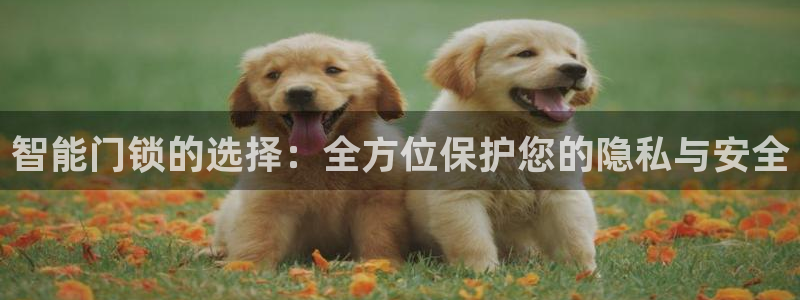 开丰娱乐科技：智能门锁的选择：全方位保护您的隐私与安全