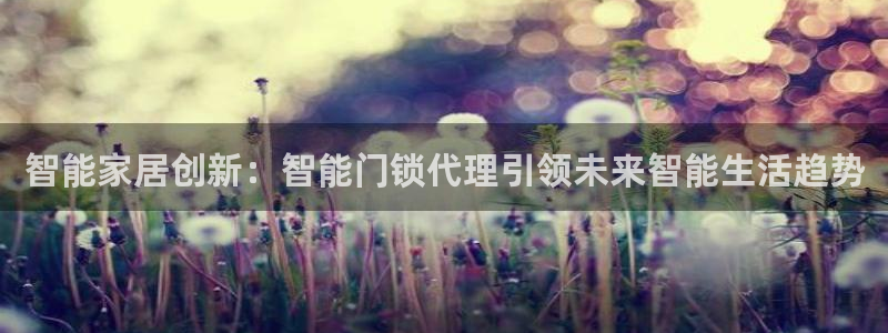 开丰娱乐登入：智能家居创新：智能门锁代理引领未来智能生活趋势