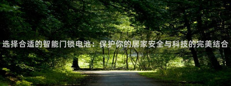 开丰娱乐平台：选择合适的智能门锁电池：保护你的居家安全与科技