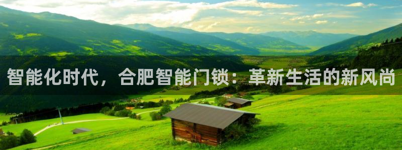 开丰娱乐注册登录不了：智能化时代，合肥智能门锁：革新生活的新