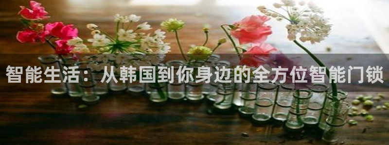 开丰娱乐日7O667：智能生活：从韩国到你身边的全方位智能门