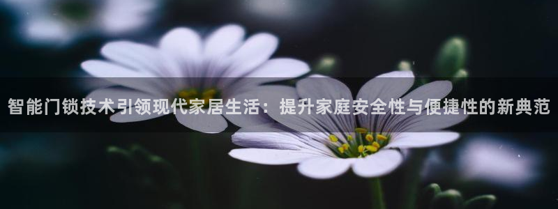 开丰娱乐网官网注册入口：智能门锁技术引领现代家居生活：提升家