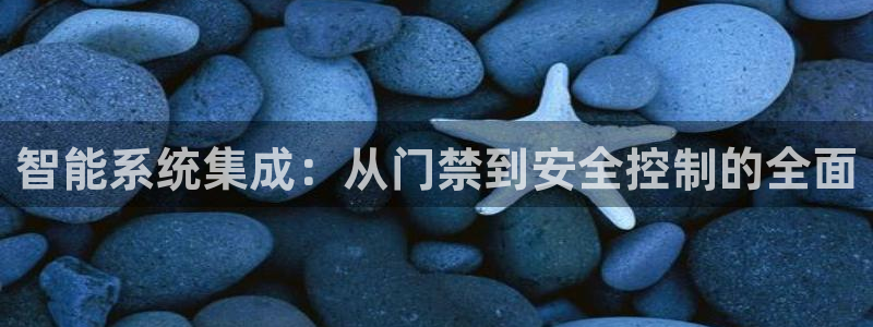 开丰娱乐登录地址入口：智能系统集成：从门禁到安全控制的全面