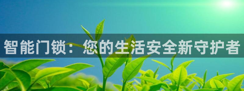 开丰娱乐平台地址电话：智能门锁：您的生活安全新守护者