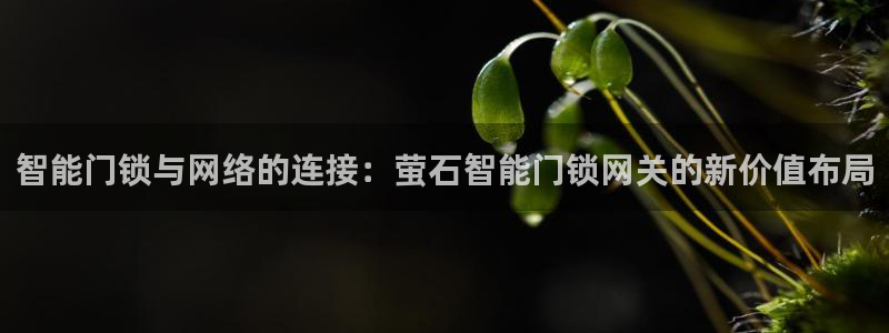 开丰娱乐网站：智能门锁与网络的连接：萤石智能门锁网关的新价值