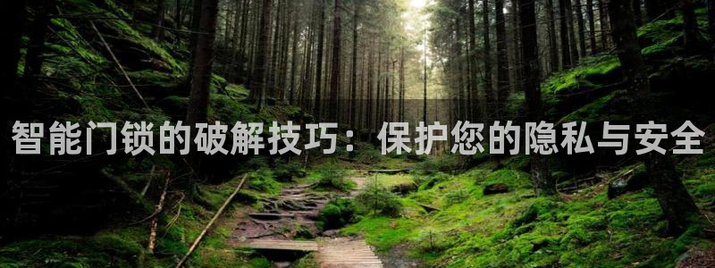 开丰娱乐官网登录平台：智能门锁的破解技巧：保护您的隐私与安全