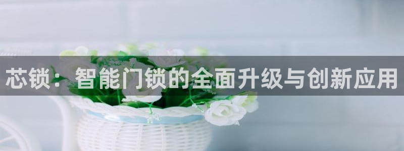 开丰娱乐2登录：芯锁：智能门锁的全面升级与创新应用