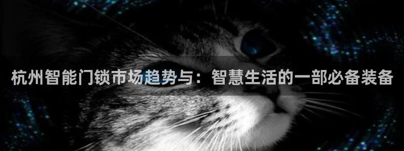 开丰娱乐登入地址在哪查：杭州智能门锁市场趋势与：智慧生活的一