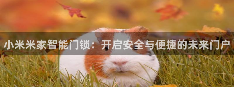 开丰娱乐左7O667：小米米家智能门锁：开启安全与便捷的未来
