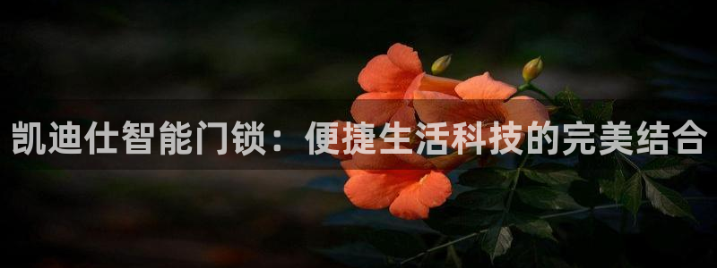 开丰娱乐app：凯迪仕智能门锁：便捷生活科技的完美结合