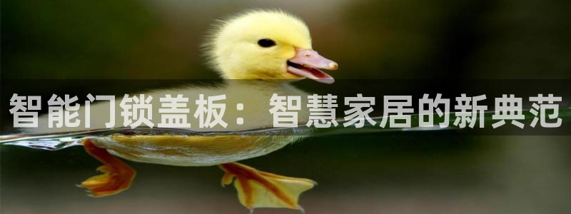 开丰娱乐于六七五一38：智能门锁盖板：智慧家居的新典范