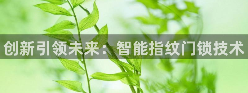 开丰娱乐登录：创新引领未来：智能指纹门锁技术