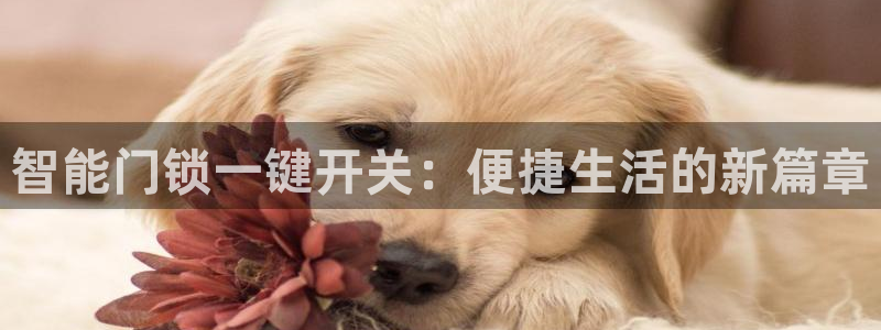开丰娱乐登入：智能门锁一键开关：便捷生活的新篇章