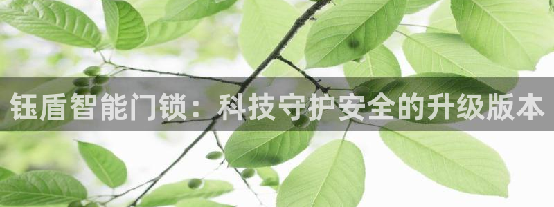 开丰娱乐官方app：钰盾智能门锁：科技守护安全的升级版本