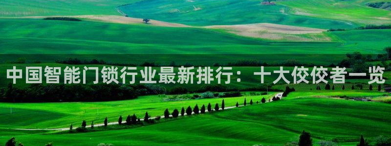 开丰娱乐登入地址在哪里：中国智能门锁行业最新排行：十大佼佼者