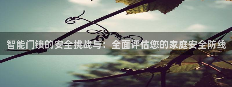 开丰娱乐官网平台：智能门锁的安全挑战与：全面评估您的家庭安全