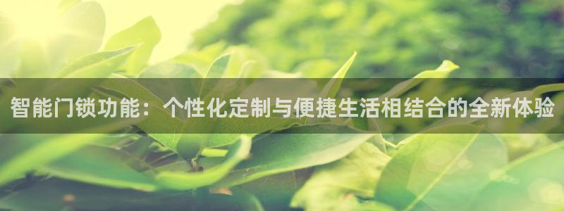 开丰娱乐天富娱乐：智能门锁功能：个性化定制与便捷生活相结合的