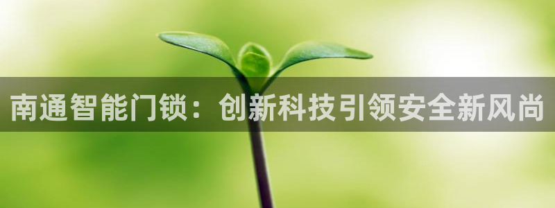 开丰娱乐官网最新消息：南通智能门锁：创新科技引领安全新风尚