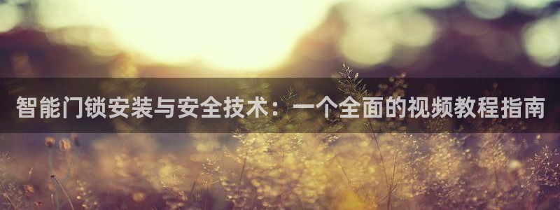 开丰娱乐与六七五一38：智能门锁安装与安全技术：一个全面的视
