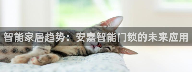 开丰娱乐左7O667：智能家居趋势：安嘉智能门锁的未来应用