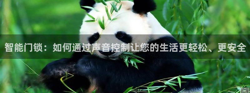 开丰娱乐网址：智能门锁：如何通过声音控制让您的生活更轻松、更