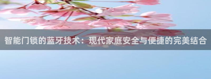 开丰娱乐怎么开转点：智能门锁的蓝牙技术：现代家庭安全与便捷的