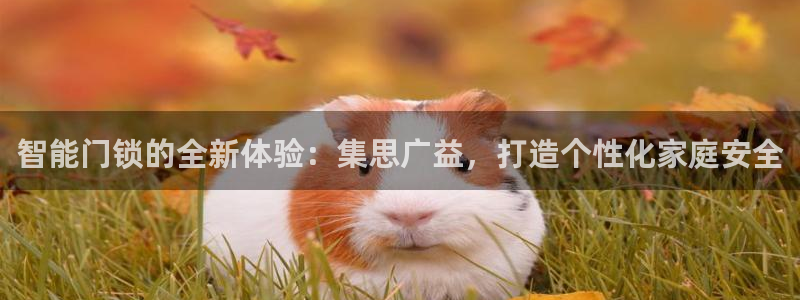 圩丰刚开的娱乐场所：智能门锁的全新体验：集思广益，打造个性化