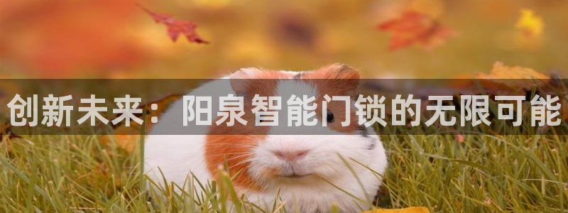 开丰娱乐网站官网下载：创新未来：阳泉智能门锁的无限可能
