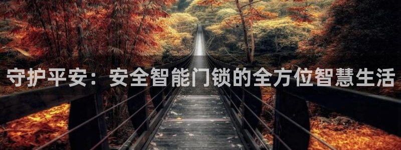 开丰娱乐登入地址在哪儿：守护平安：安全智能门锁的全方位智慧生