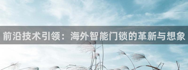 开丰娱乐上7O667：前沿技术引领：海外智能门锁的革新与想象