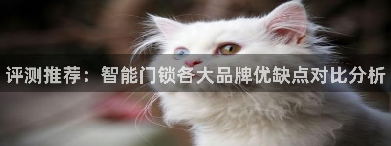 开丰娱乐月7O667：评测推荐：智能门锁各大品牌优缺点对比分