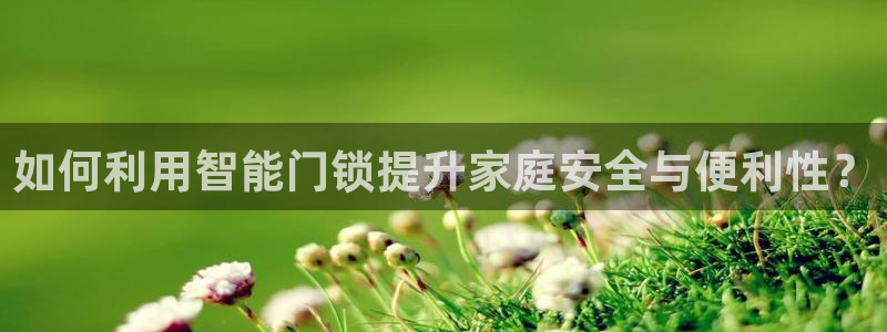 开丰娱乐平台官网登录：如何利用智能门锁提升家庭安全与便利性？