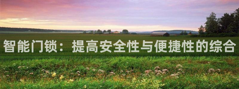 开丰娱乐官网登录网址：智能门锁：提高安全性与便捷性的综合