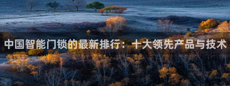 开丰娱乐科技：中国智能门锁的最新排行：十大领先产品与技术