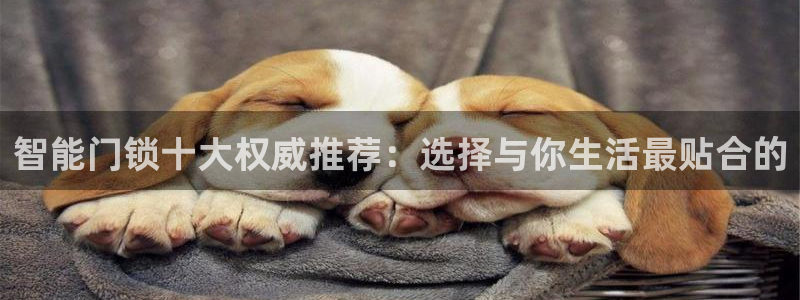开丰娱乐千67五壹叁八：智能门锁十大权威推荐：选择与你生活最