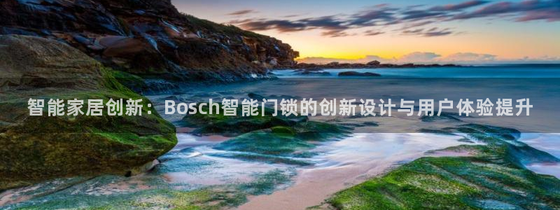 开丰娱乐官网招聘：智能家居创新：Bosch智能门锁的创新设计