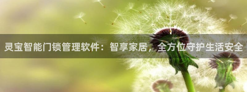 开丰娱乐乙833_43：灵宝智能门锁管理软件：智享家居，全方