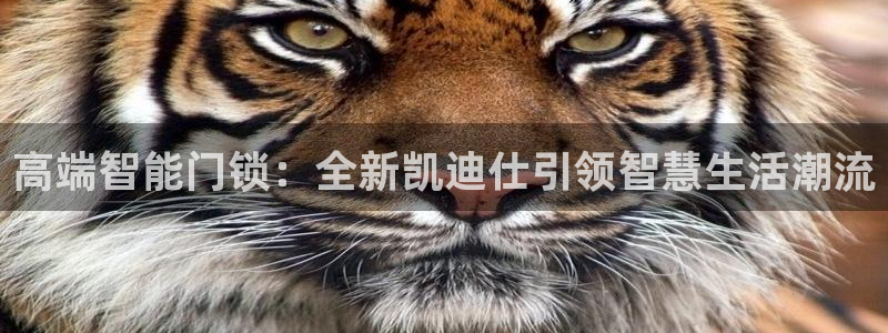 开丰娱乐：高端智能门锁：全新凯迪仕引领智慧生活潮流