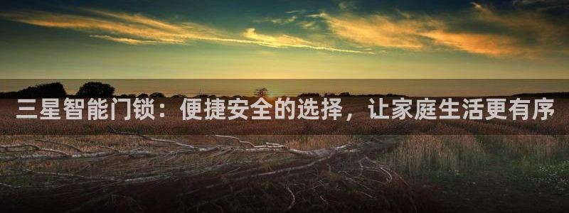 开丰娱乐开户：三星智能门锁：便捷安全的选择，让家庭生活更有序