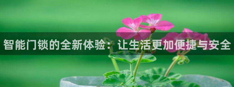 开丰娱乐官网平台：智能门锁的全新体验：让生活更加便捷与安全