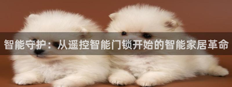 开丰娱乐官网登录网址：智能守护：从遥控智能门锁开始的智能家居
