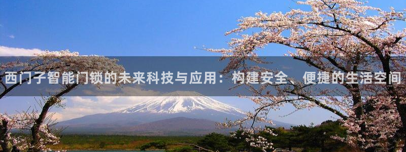 开丰娱乐日：西门子智能门锁的未来科技与应用：构建安全、便捷的