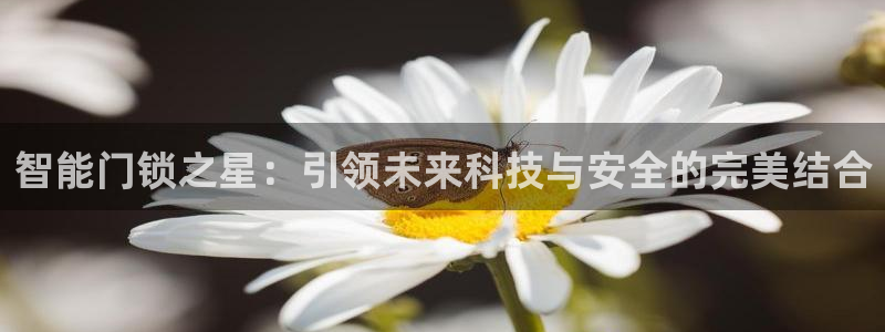 开丰娱乐新登录平台：智能门锁之星：引领未来科技与安全的完美结